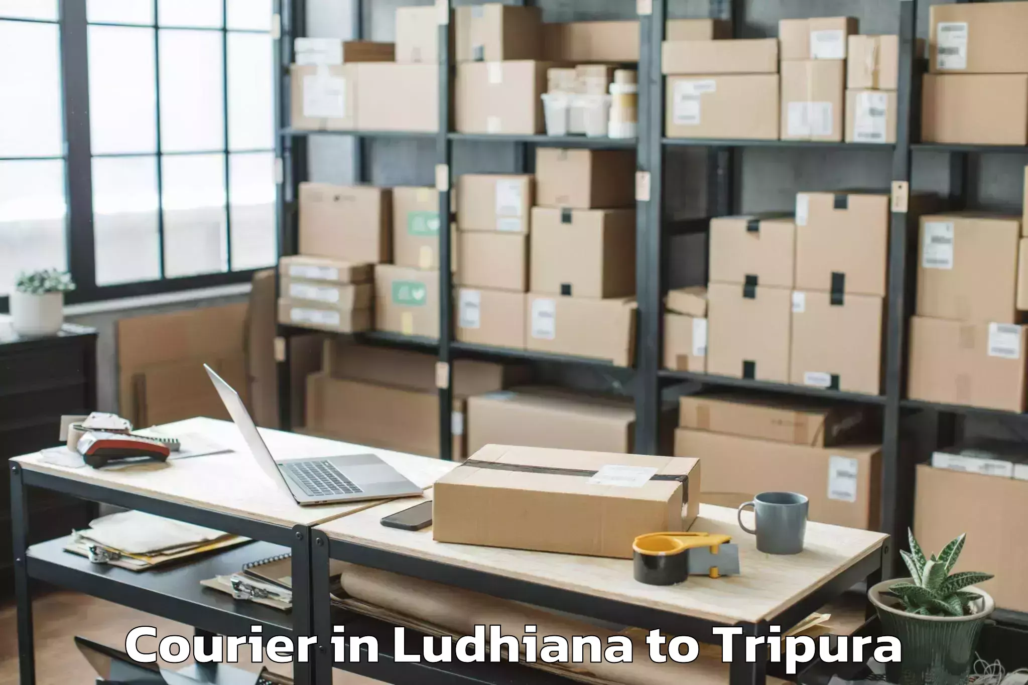 Book Ludhiana to Jirania Courier Online